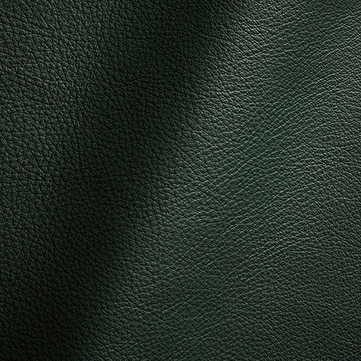 Royalton Premium Leather - Spruce
