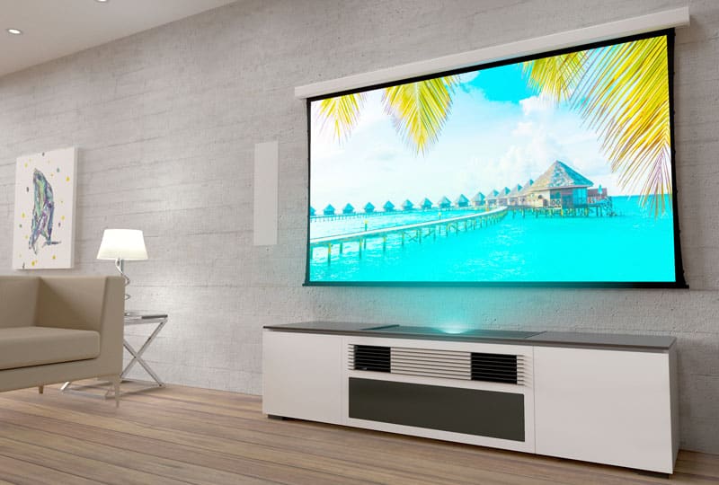 Salamandra-SI Solo.jpg