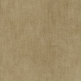 Image for choice number 2